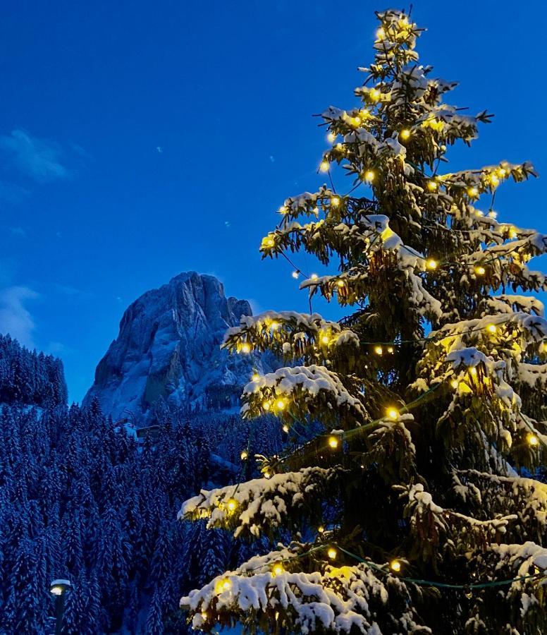 Apartament Cesa Vedla Peaceful Hiking Base In Val Gardena, Dolomites, Beneath Alpe Di Siusi Ortisei Zewnętrze zdjęcie