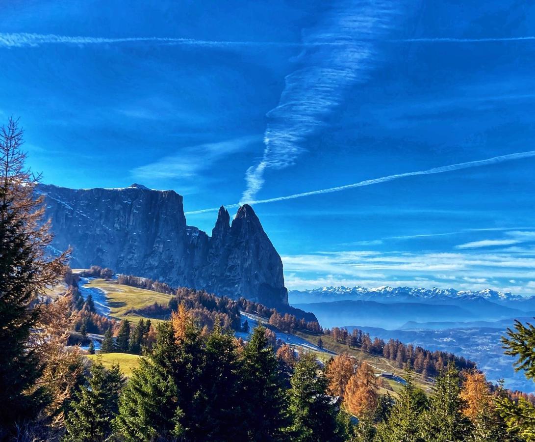 Apartament Cesa Vedla Peaceful Hiking Base In Val Gardena, Dolomites, Beneath Alpe Di Siusi Ortisei Zewnętrze zdjęcie