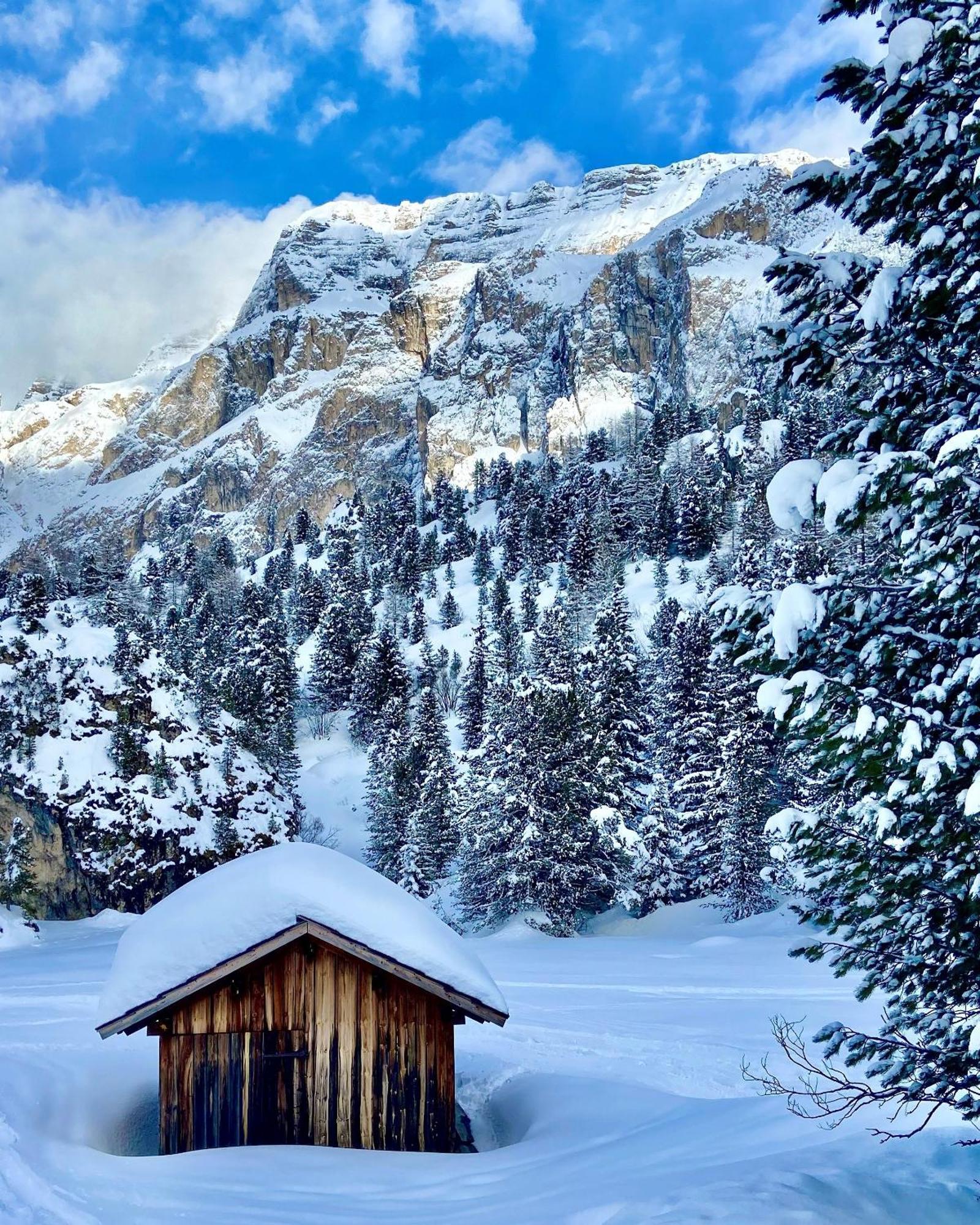 Apartament Cesa Vedla Peaceful Hiking Base In Val Gardena, Dolomites, Beneath Alpe Di Siusi Ortisei Zewnętrze zdjęcie