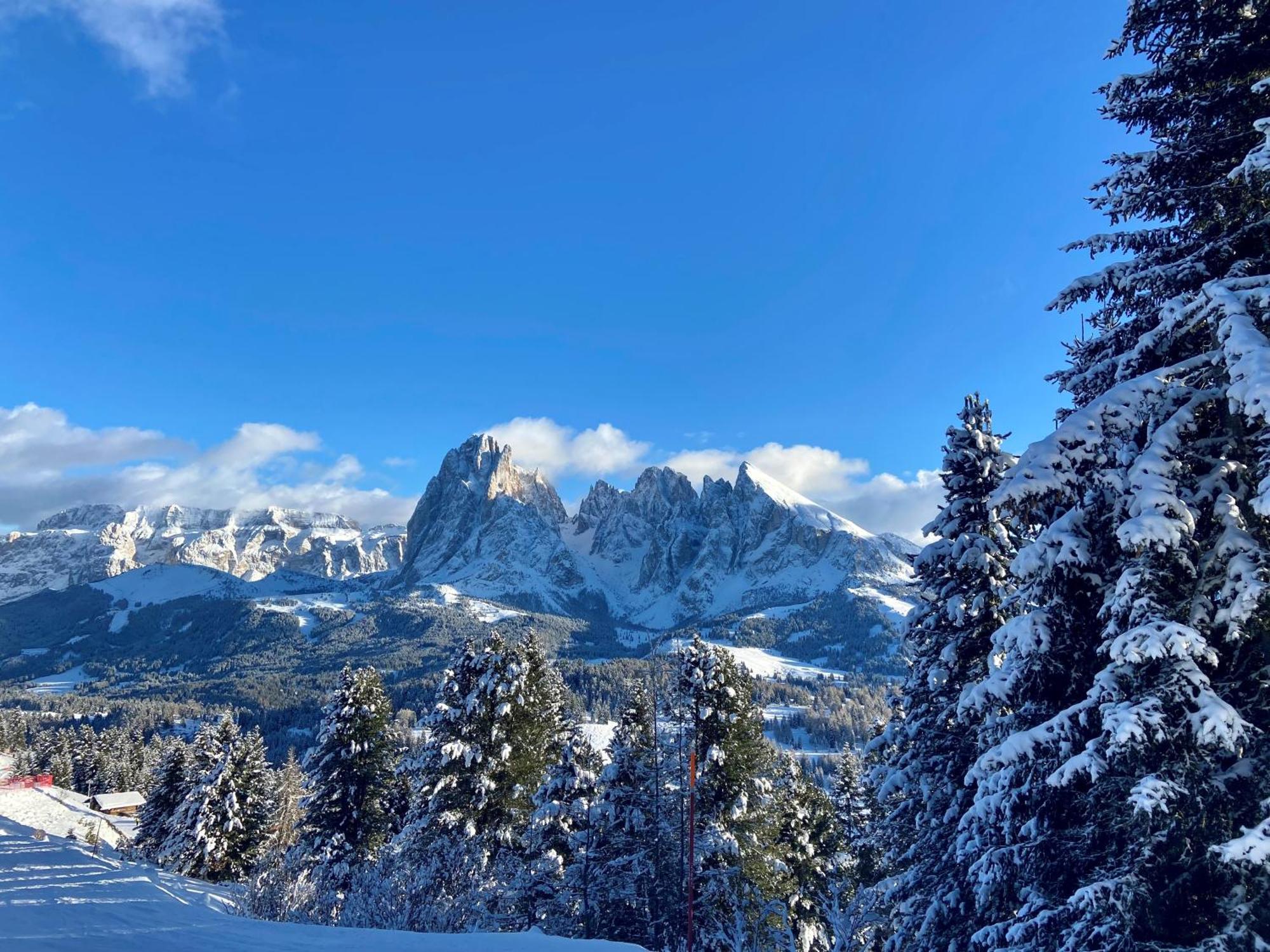 Apartament Cesa Vedla Peaceful Hiking Base In Val Gardena, Dolomites, Beneath Alpe Di Siusi Ortisei Zewnętrze zdjęcie