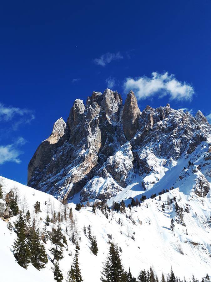 Apartament Cesa Vedla Peaceful Hiking Base In Val Gardena, Dolomites, Beneath Alpe Di Siusi Ortisei Zewnętrze zdjęcie