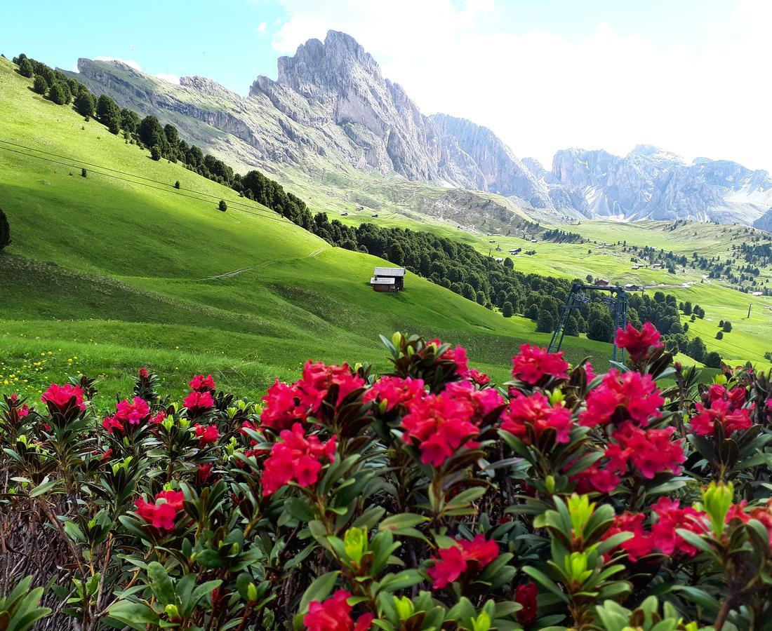 Apartament Cesa Vedla Peaceful Hiking Base In Val Gardena, Dolomites, Beneath Alpe Di Siusi Ortisei Zewnętrze zdjęcie